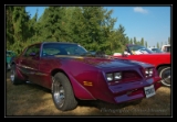 Pontiac Trans Am 79 - 2